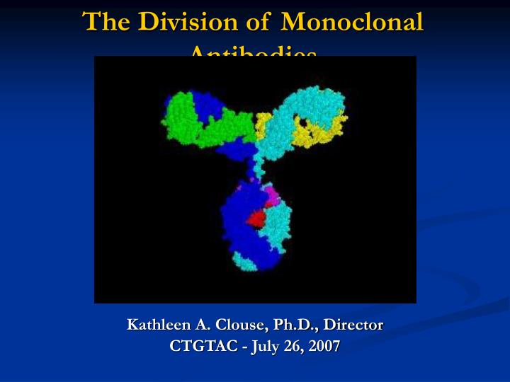 the division of monoclonal antibodies