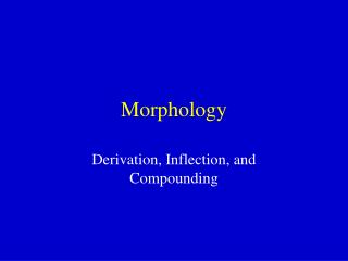 Morphology