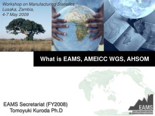 What is EAMS, AMEICC WGS, AHSOM
