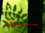 Bamboo - slide 1