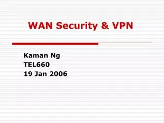 WAN Security &amp; VPN