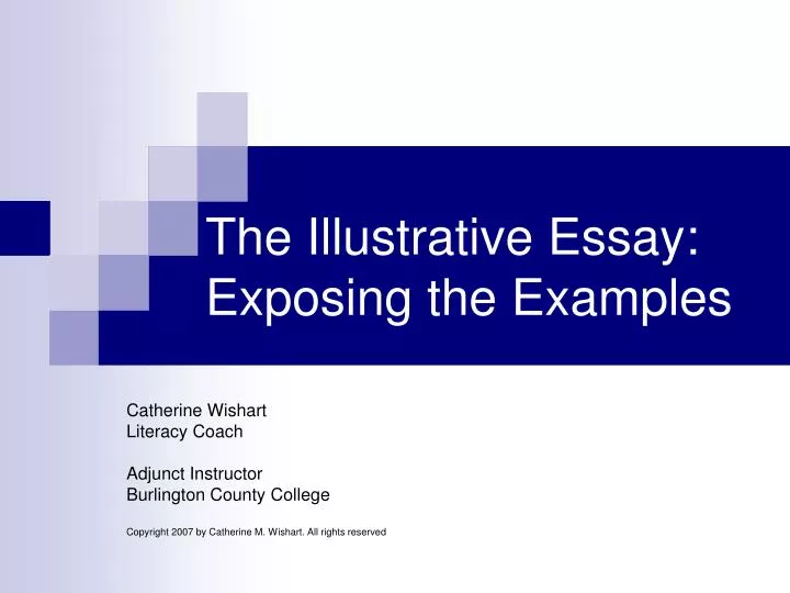 the illustrative essay exposing the examples