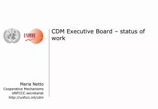 CDM Executive Board – status of work