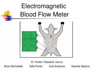 Electromagnetic Blood Flow Meter Dr. Erdem Topsakal, Advisor Brian McCalebb Taffa Porter Ky