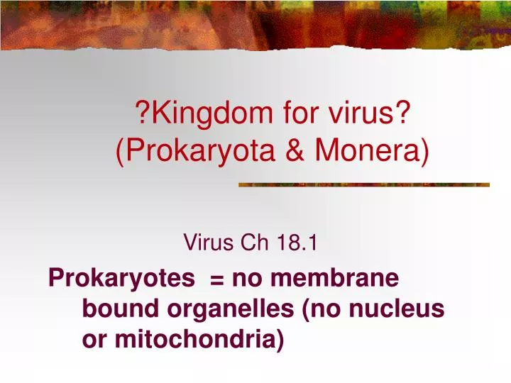 kingdom for virus prokaryota monera