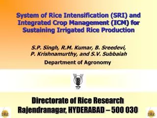 System of Rice Intensification (SRI) and Integrated Crop Management (ICM) for Sustaining Irrigated Rice Production
