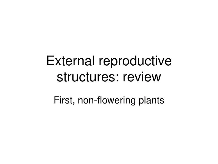 external reproductive structures review