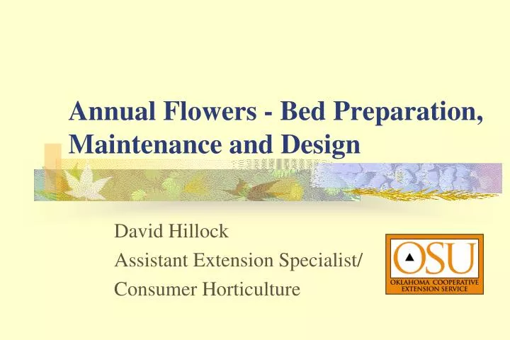 annual flowers bed preparation maintenance and design