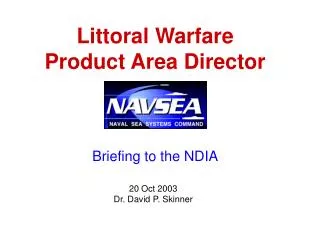 Littoral Warfare Product Area Director
