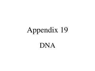 Appendix 19