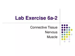 Lab Exercise 6a-2