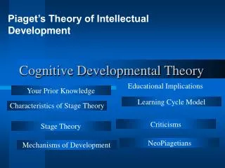 Cognitive Developmental Theory