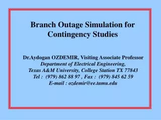 Branch Outage Simulation for Contingency Studies