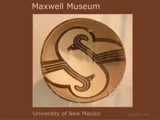 Maxwell Museum
