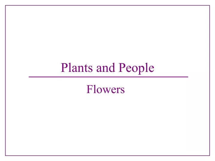plants and people