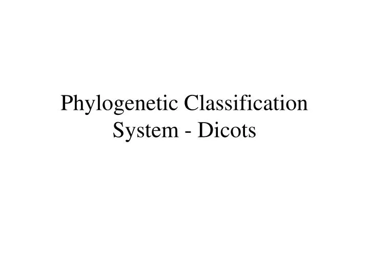 phylogenetic classification system dicots