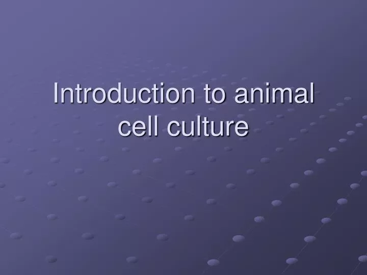 introduction to animal cell culture
