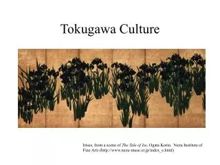Tokugawa Culture