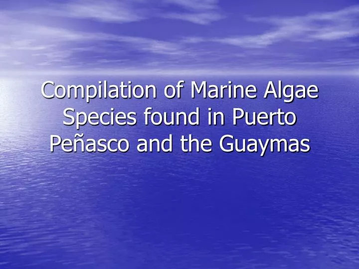 compilation of marine algae species found in puerto pe asco and the guaymas