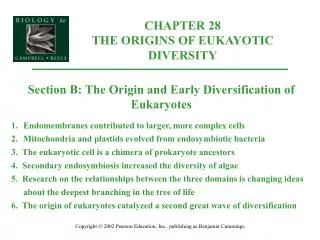 CHAPTER 28 THE ORIGINS OF EUKAYOTIC DIVERSITY