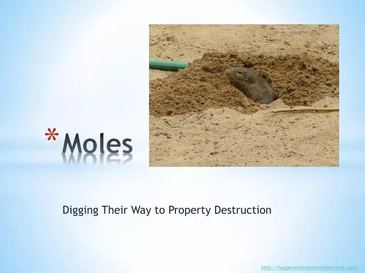 moles