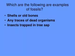 Which are the following are examples of fossils?