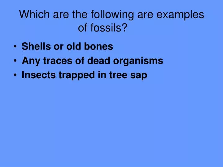 which are the following are examples of fossils