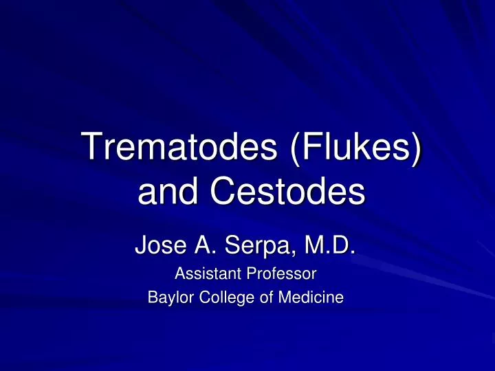 trematodes flukes and cestodes