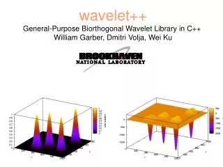 wavelet++ General-Purpose Biorthogonal Wavelet Library in C++ William Garber, Dmitri Volja, Wei Ku