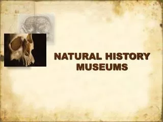 NATURAL HISTORY MUSEUMS