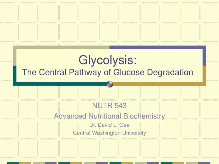 glycolysis the central pathway of glucose degradation