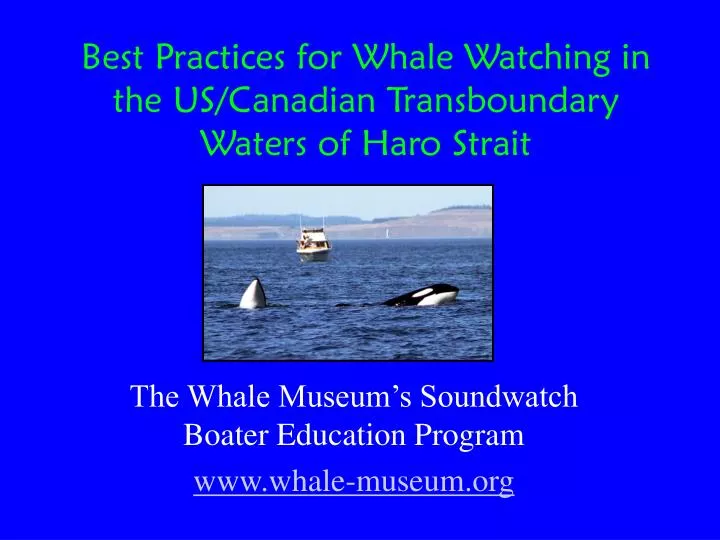 best practices for whale watching in the us canadian transboundary waters of haro strait