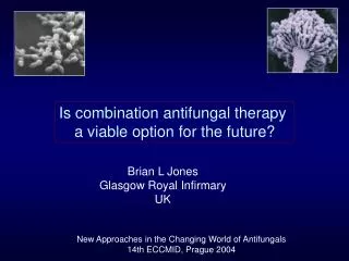 Is combination antifungal therapy a viable option for the future?