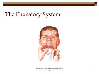 The Phonatory System