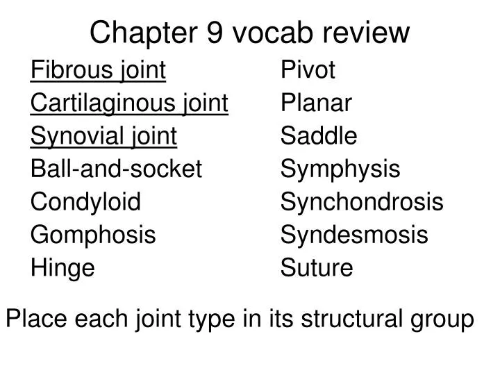 chapter 9 vocab review