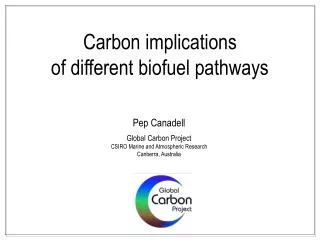 Carbon implications of different biofuel pathways