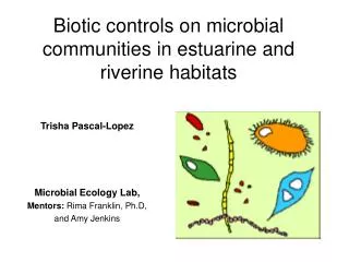 Biotic controls on microbial communities in estuarine and riverine habitats