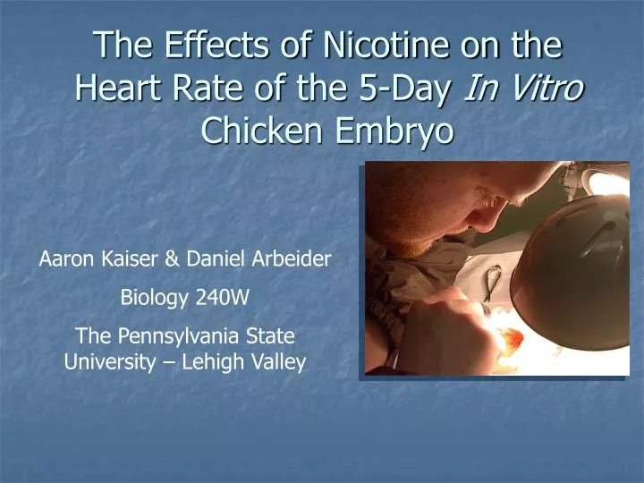the effects of nicotine on the heart rate of the 5 day in vitro chicken embryo