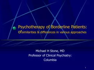 Psychotherapy of Borderline Patients: of similarities &amp; differences in various approaches