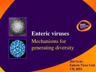 Enteric viruses