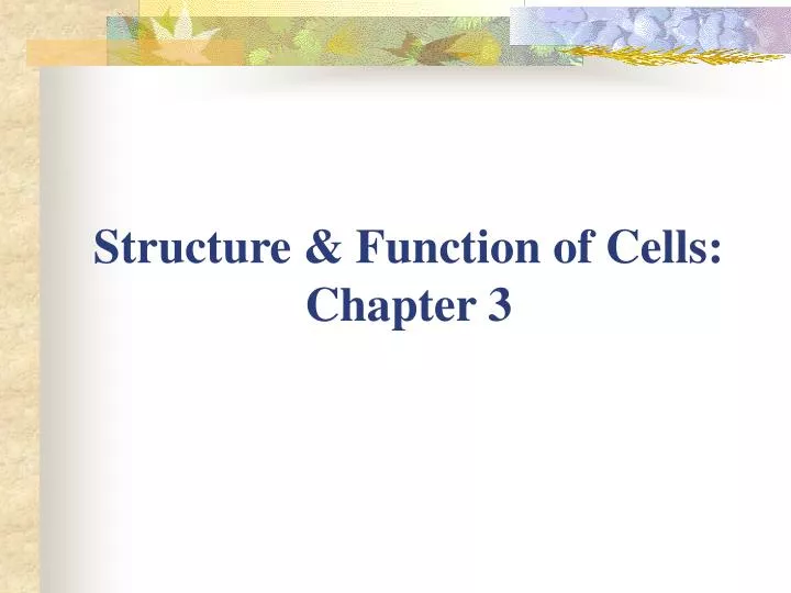 structure function of cells chapter 3