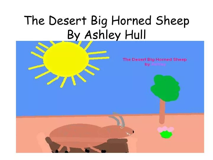 the desert big horned sheep by ashley hull