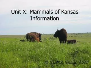 Unit X: Mammals of Kansas Information