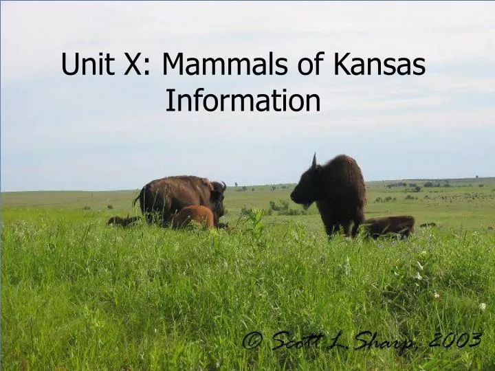 unit x mammals of kansas information
