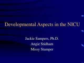 Developmental Aspects in the NICU