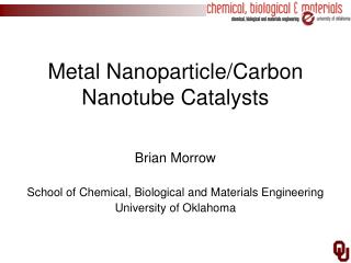 Metal Nanoparticle/Carbon Nanotube Catalysts