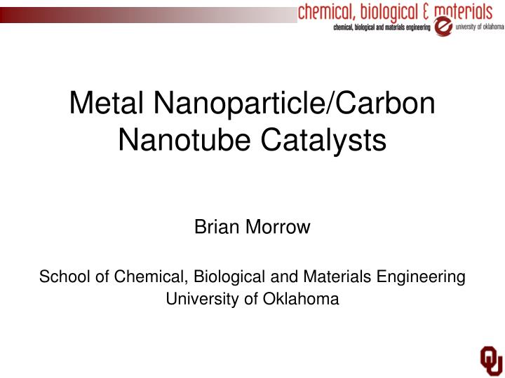 metal nanoparticle carbon nanotube catalysts