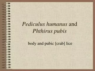 Pediculus humanus and Phthirus pubis