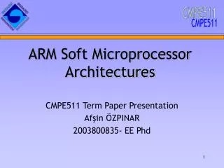 ARM Soft Microprocessor Architectures