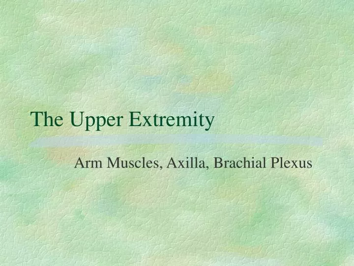 the upper extremity